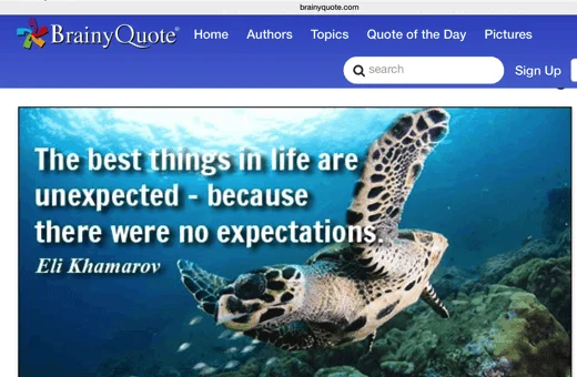 Fake News Eli Khamarov