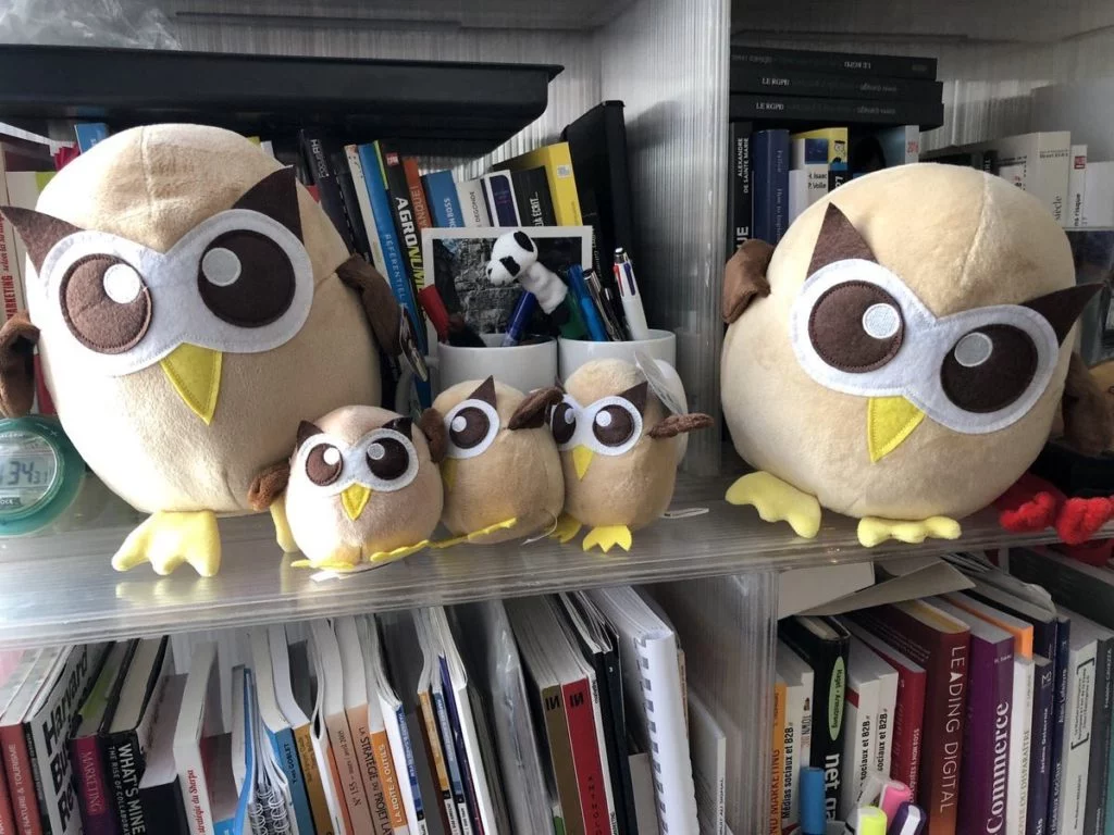 The paid version of Hootsuite is now available