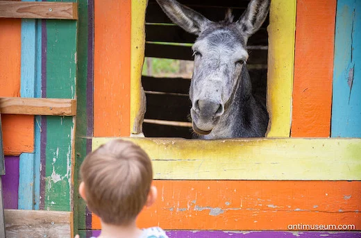 Start-ups Scale-ups et agences de RP : “Je t’aime moi non plus”