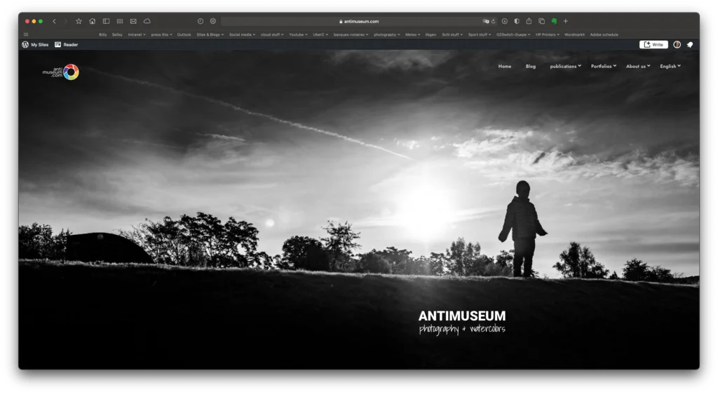 video interactive