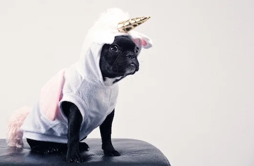 Croissance des startups