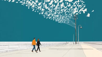 Annuaire du numérique 2026